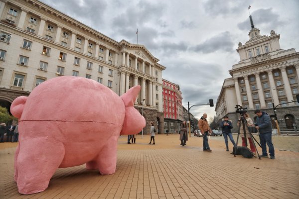 Снимка: Димитър Кьосемарлиев, Bulgaria ON AIR